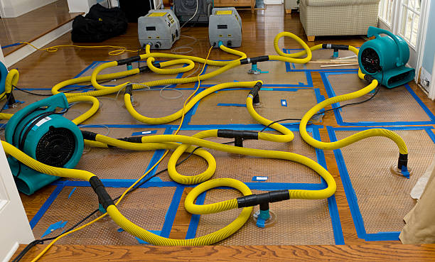 Professional Storm Water Damage Restoration technician working in Rockport, IN